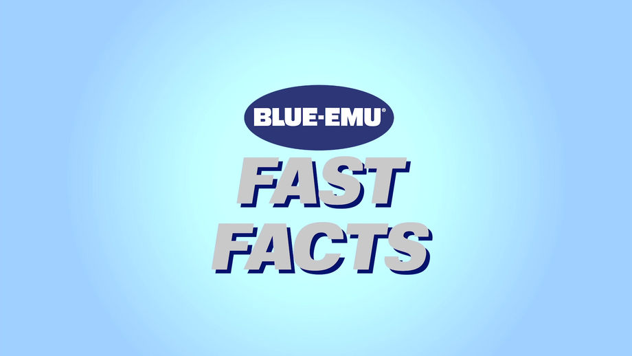 Fast Fact Martinsville dirt track